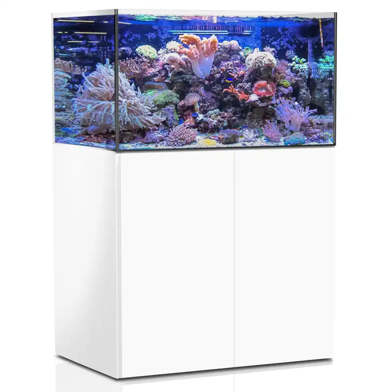 AQUA MEDIC Armatus 375 XD Meerwasser-Aquarium mit Unterschrankfiltersystem weiß Rabatt